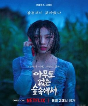Rừng Không Tiếng - The Frog (2024)