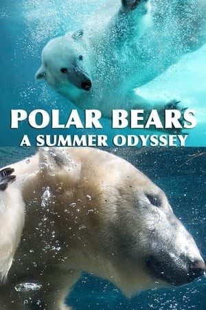 Gấu Bắc Cực - Polar Bears: A Summer Odyssey (2012)